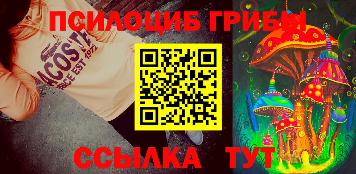 Псилоцибиновые грибы прущие грибы Минусинск